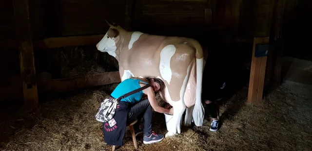 24. Juni Mittelaltertage Höfemuseum Kramsach 2018