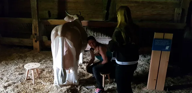 24. Juni Mittelaltertage Höfemuseum Kramsach 2018